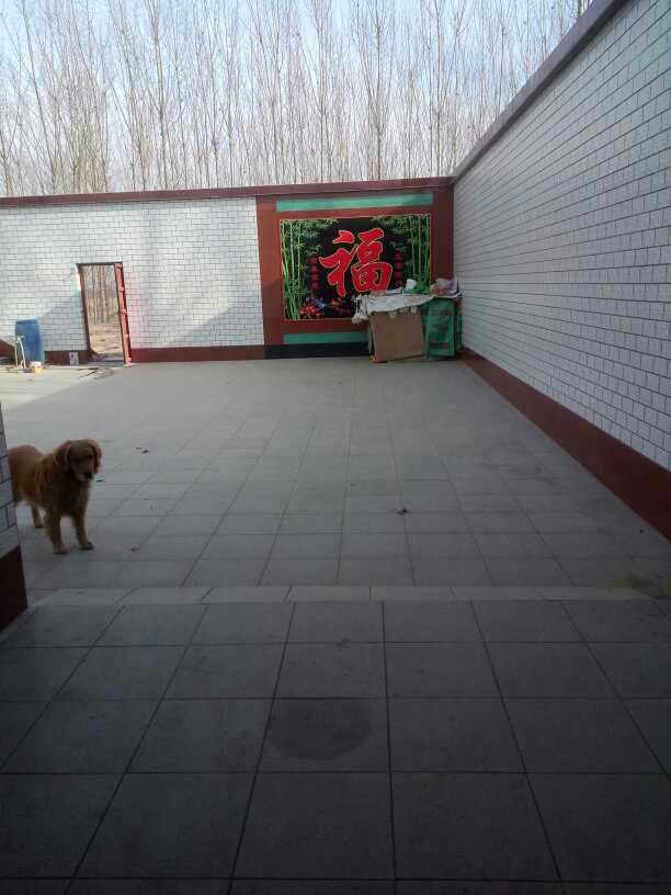 晒晒东北婆家的自建房，占地1000平，卧室大家可能没见过