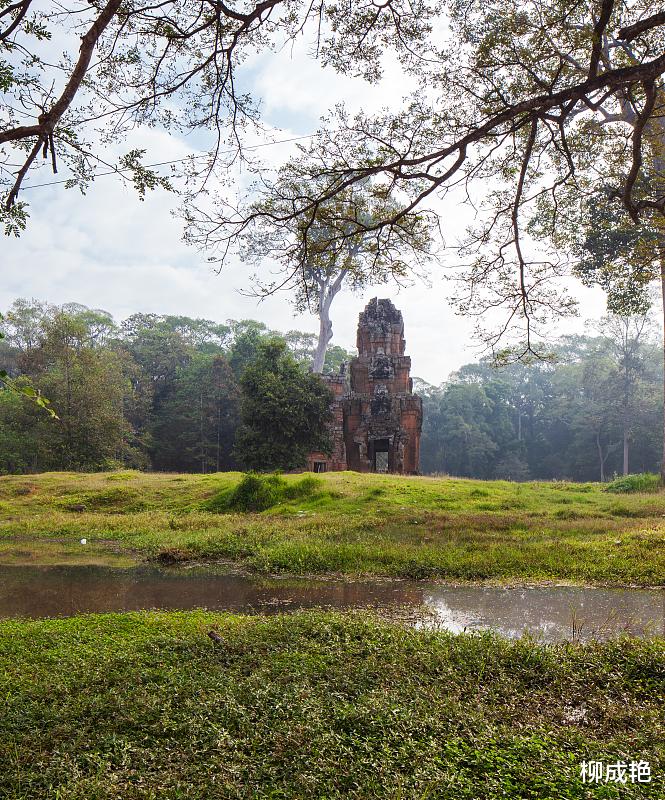 柳成艳 看世事无常 尝百味人生
