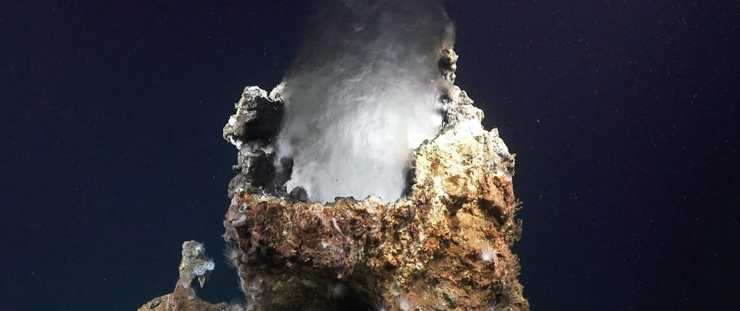 海沟 深入水下10000米，在海洋深处的马里亚纳海沟，有什么神秘生物？