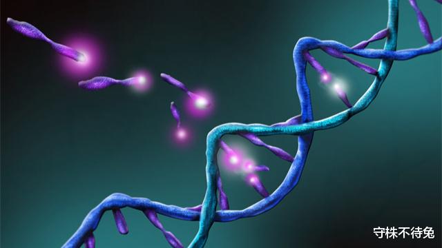 守株不待兔|真实存在着，看起来多少有点病的19个奇怪冷知识