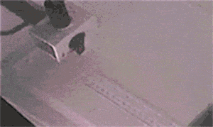 萌控孩|女生绑在脖子上的“黑带子”是啥意思?哈哈哈哈...这到底是什么神操作?