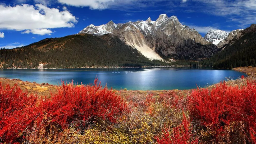 投机 交易心得丨没有真正的投资铁律，只有一针见血的认知！（0722）