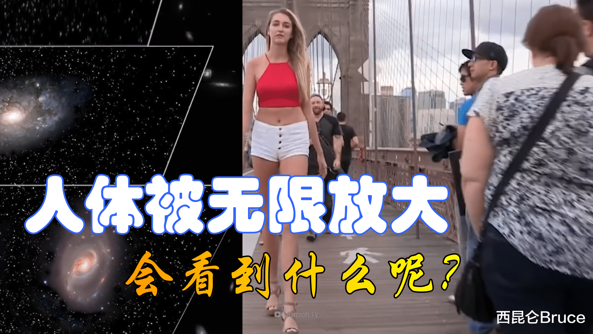 长颈鹿 突发奇想：如果人体被无限放大，过程中会看到些什么呢？