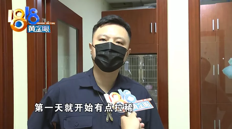 杭州 消费者怀疑买到“星期猫”，找上门发现是“老朋友”了