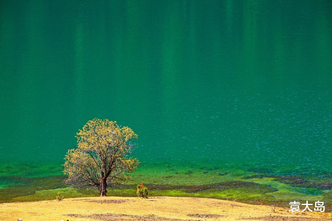 袁大岛 不是所有的失去，都是坏事