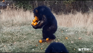 鑫宝聊育儿|“每次跟女友来宾馆，就会产生厌烦的情绪，怎么克制？”哈哈哈