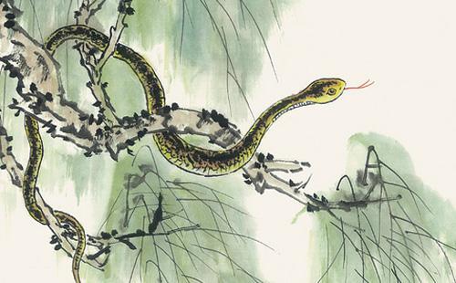 萌乐育儿|8月运势上上吉，生活顺心如意，财神大驾光临，生活如意的生肖