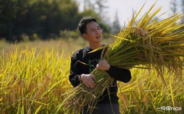 一伶很nice|林生斌事件：保姆穿的衣服很洋气，搜索全网找不到同款