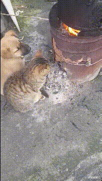 学姐说育儿|“早上在公园发现的,这里是不是发生了大战啊?”哈哈哈!