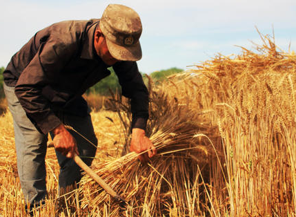 鑫爷见闻 怎么靠信息差赚钱？