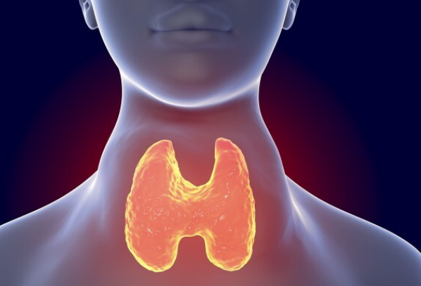 苦瓜|甲状腺“守护神”被揪出，苦瓜未上榜，榜首天天吃，结节慢慢消散