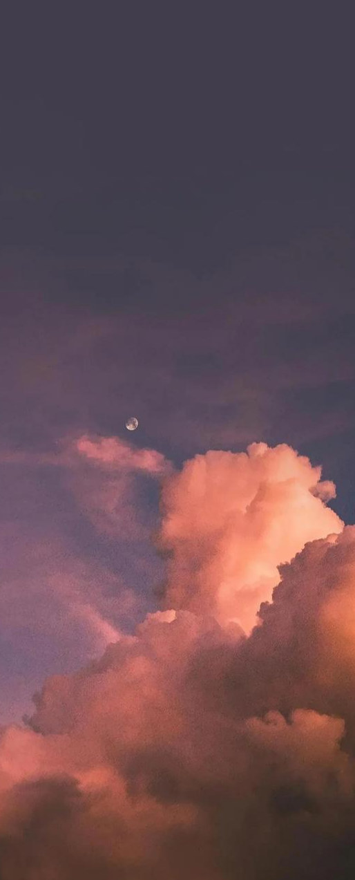 董卿|来自央视的顶级文案