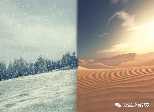 滥交有风险:尼安德特人的灭绝故事