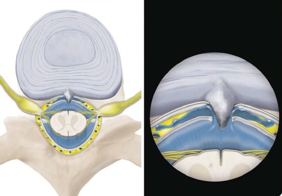 七七爸爸 警惕！长时间玩手机或致“脑子漏水”，这些征兆要留意
