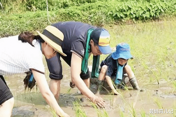 聂远|霍启刚一家晚餐照片曝光，桌上菜肴成亮点，网友：郭晶晶没嫁错人