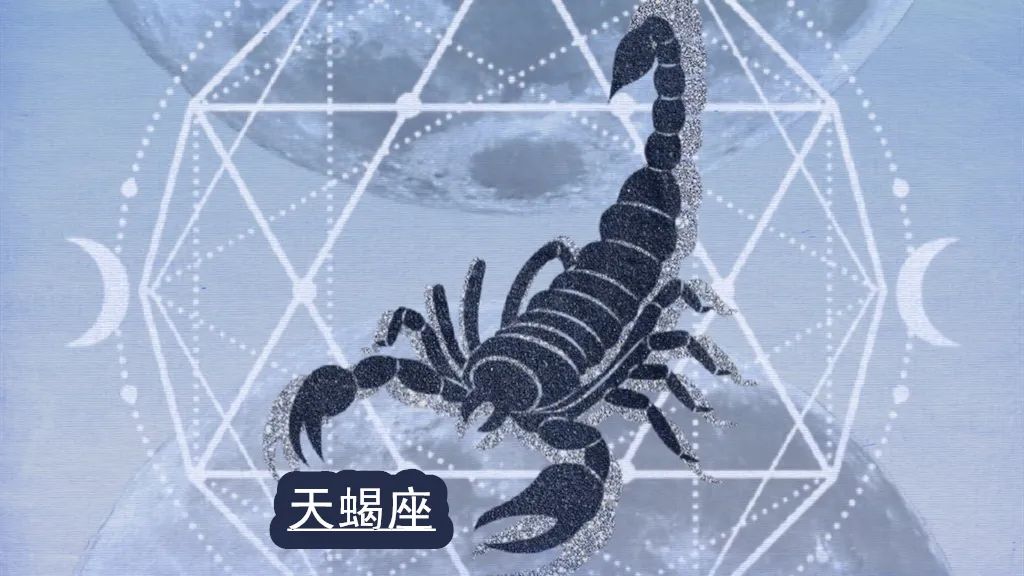 创优咖|以自我为重!看似单纯,实则狡猾的星座