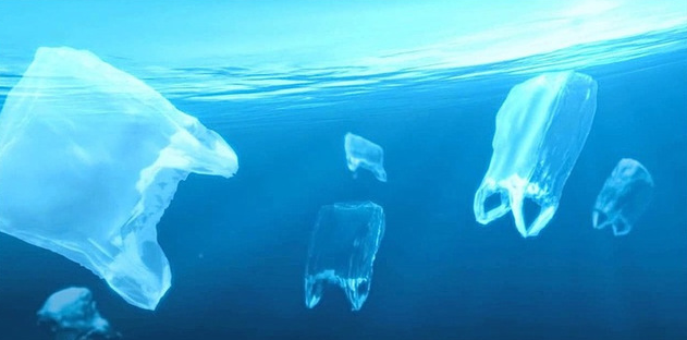 寒武纪 生物塑料是什么？它和传统塑料有什么区别？