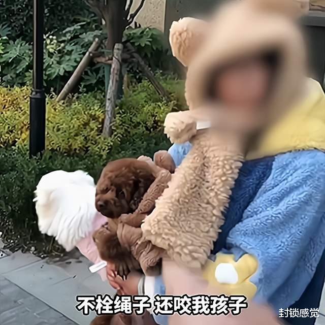 西安夫妻遛狗不拴绳扑咬孩子,家长踹狗遭辱骂,法律如何惩戒他们