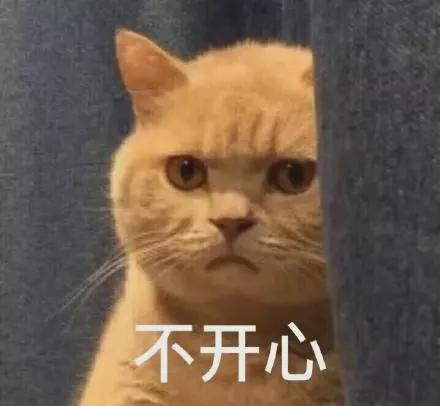 蜗牛研究僧|为满足生理需求,老外竟发明了一个假奶