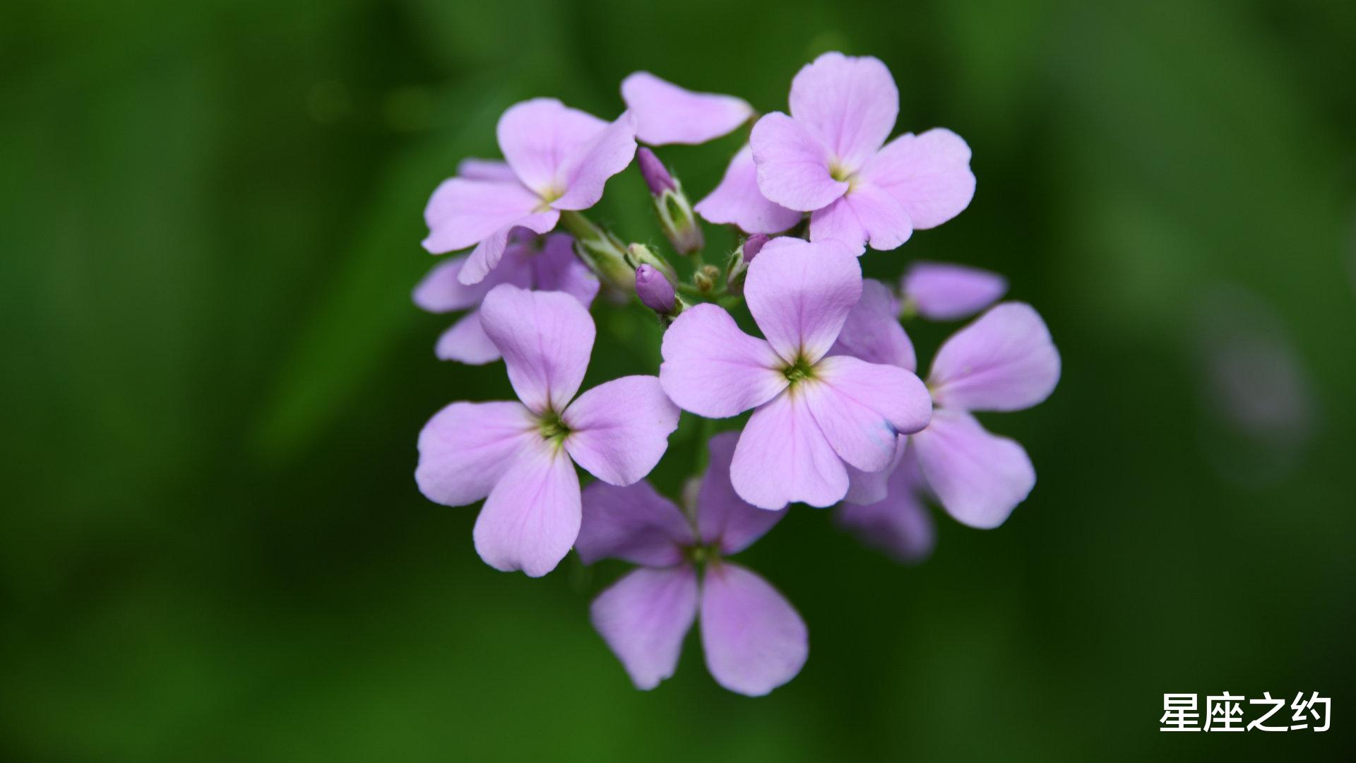 星座之约|9月3日星座运势：金牛提升实力，天蝎全力以赴，射手明确目标