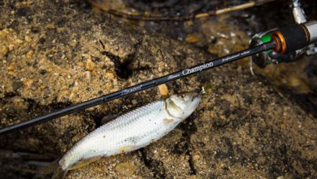 创业|3个“本小利大”的生意，你愿意尝试吗？有人年利润能达到40万