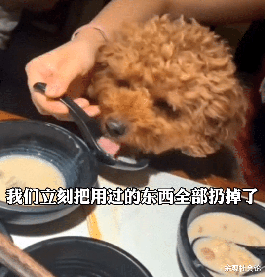 数字人民币 江苏女子在饭店吃饭刻意隐瞒携带宠物，等服务员离开就用餐勺喂食
