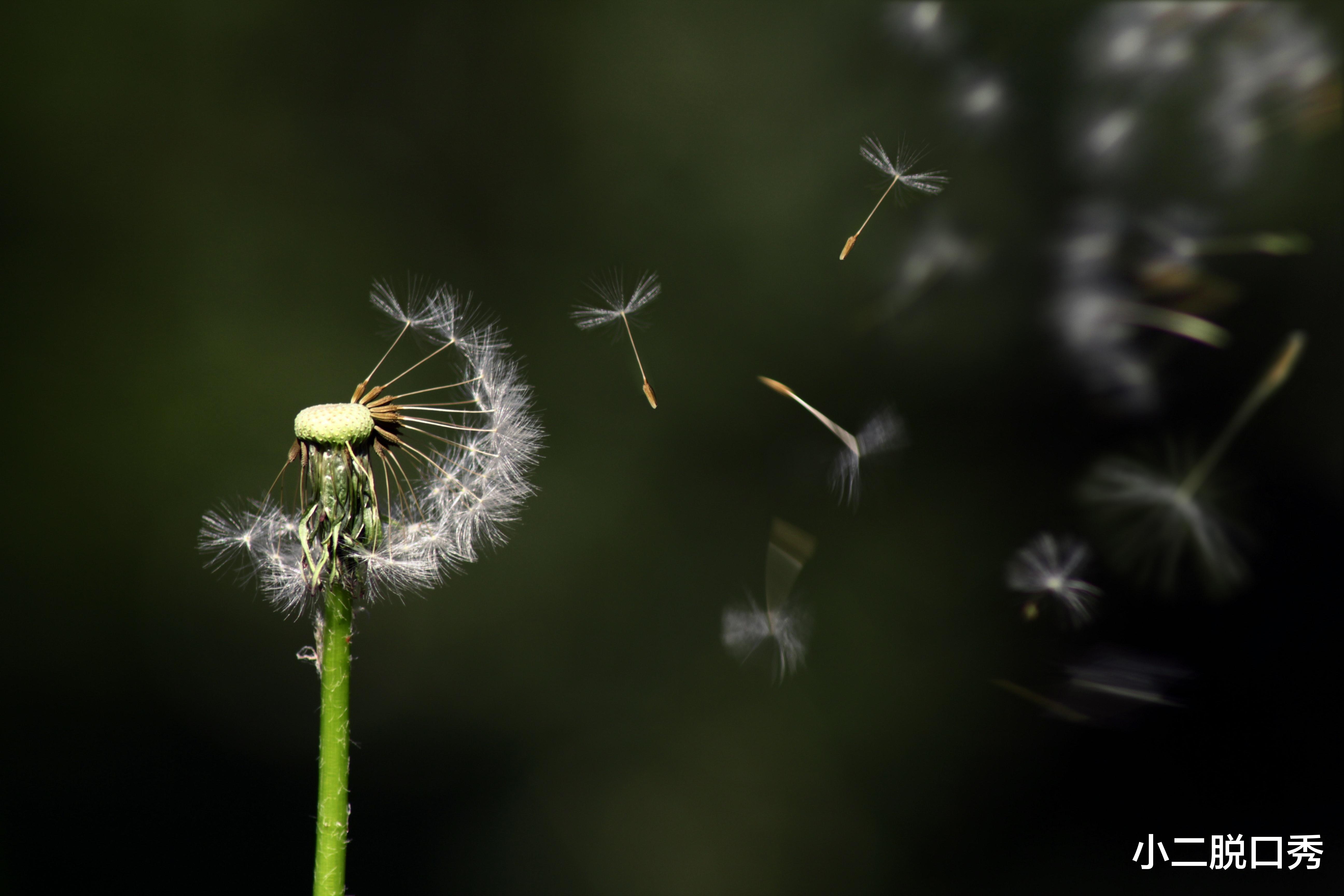小二脱口秀|分手文案：天气凉了，我们的故事翻篇吧