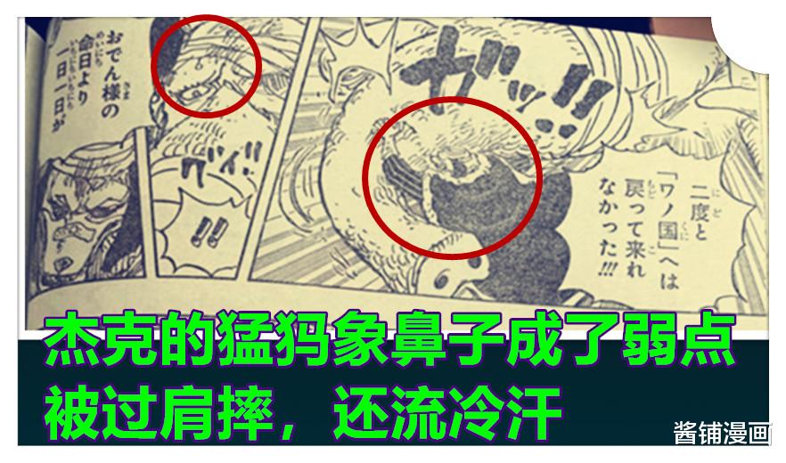 海贼王|海贼王1023话，开挂模式的犬岚VS杰克半兽人形态，杰克被狠揍并且流冷汗