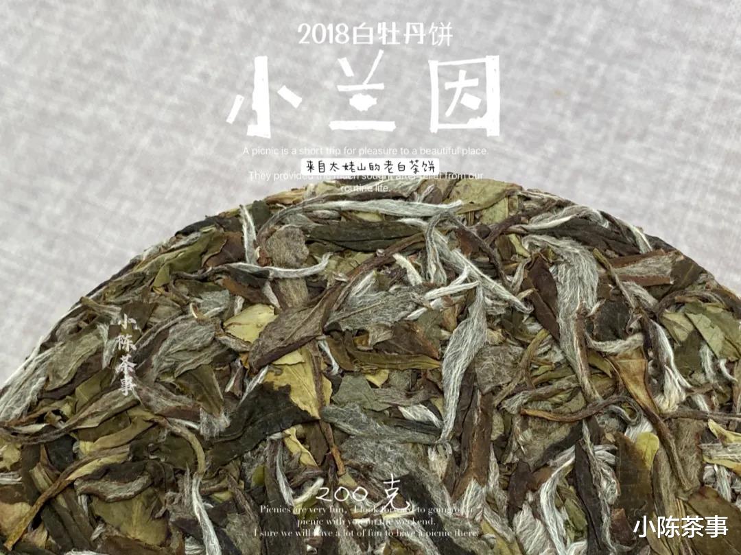 茶叶|洗茶真的更加卫生吗?白茶、绿茶、红茶,都需要洗一遍才能喝?