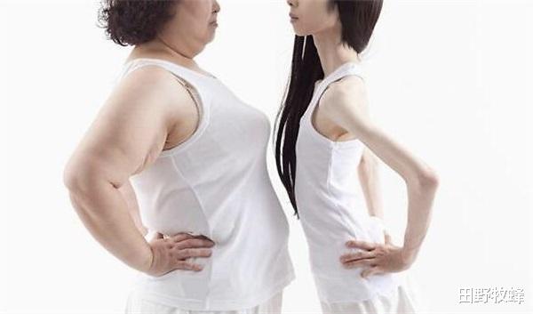 蜂蜜|减肥喝蜂蜜水可以吗? 减肥喝蜂蜜的最佳时间?