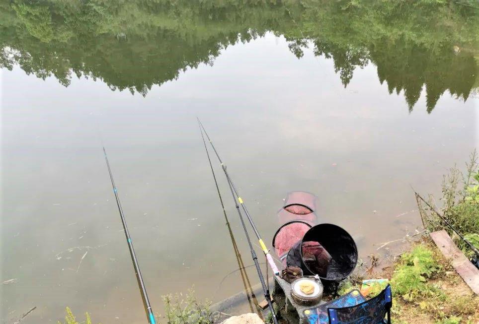 |冬至过后，什么时候是鱼吃饵的高峰期？为什么有人爆护，有人空军