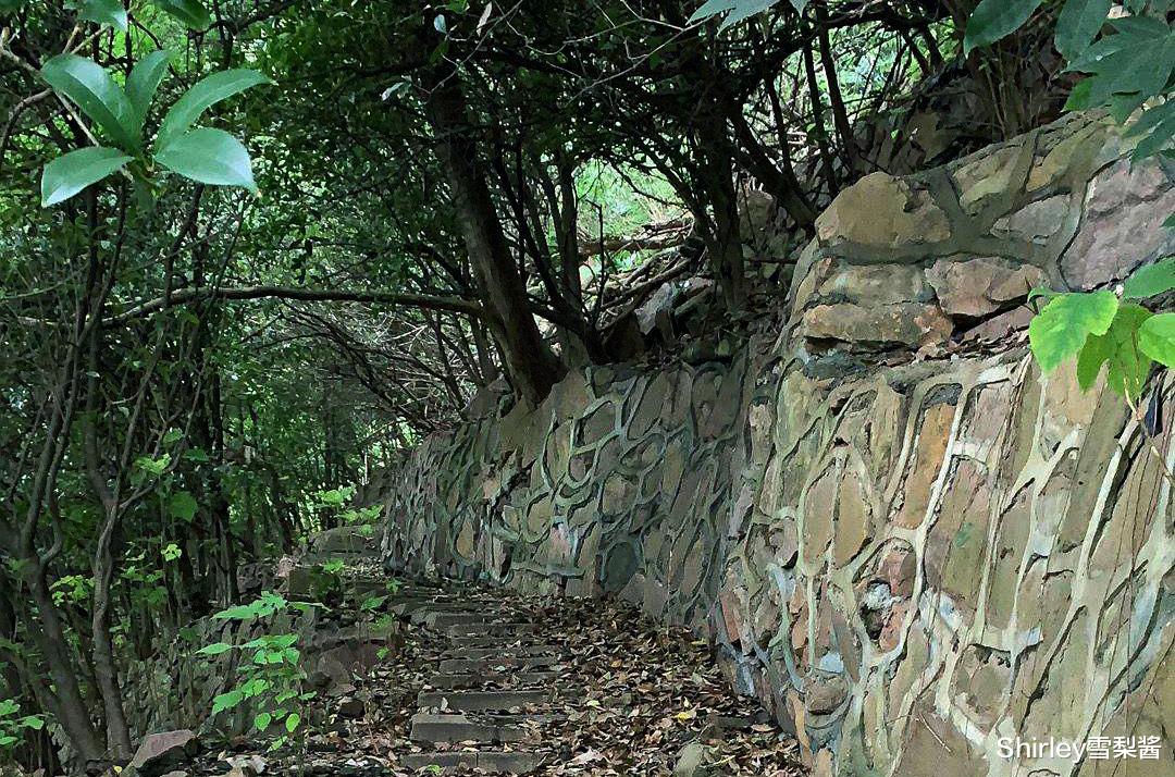 上海地图上找不到的一座小山,曾先后作为日本人的靶场和刑场,去探险的人都后悔了