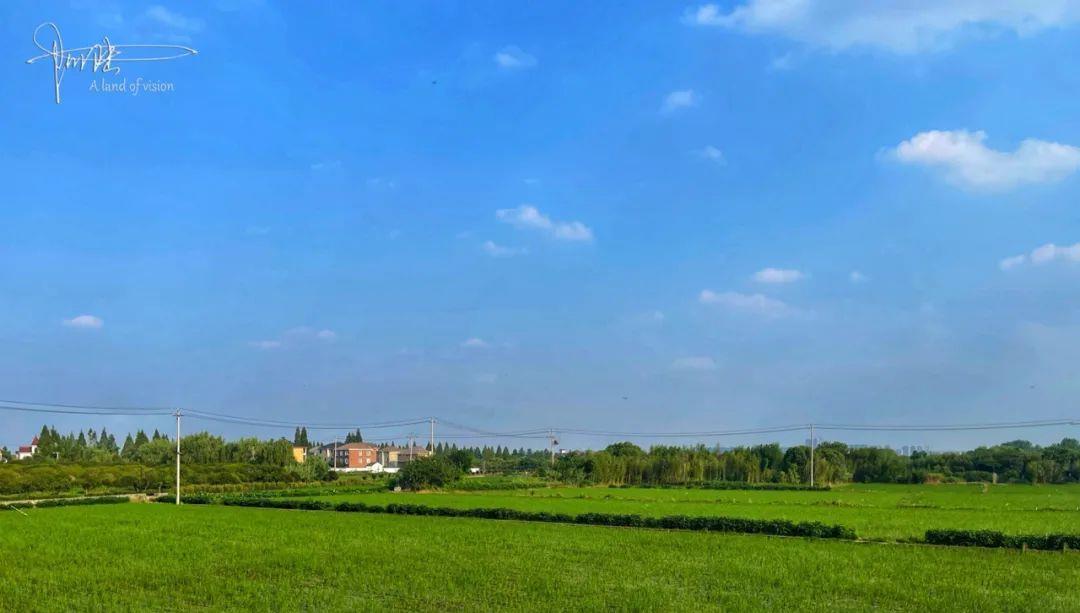 行星秘闻|杭州有两个“别具匠心”的公交车站，自带观景平台，风景如斯