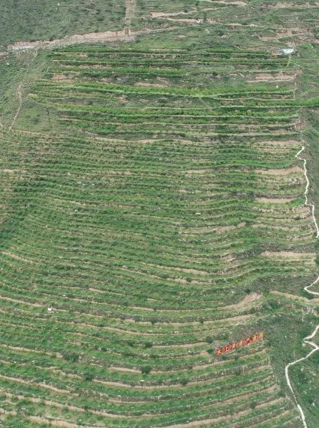 成都快报 绿色成为4084平方公里最亮的底色，汶川保生态也是保民生！