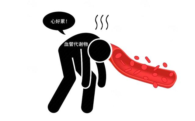 心绞痛|天然的血管“吸尘器”找到了！日常多吃5样，降血脂，远离血栓