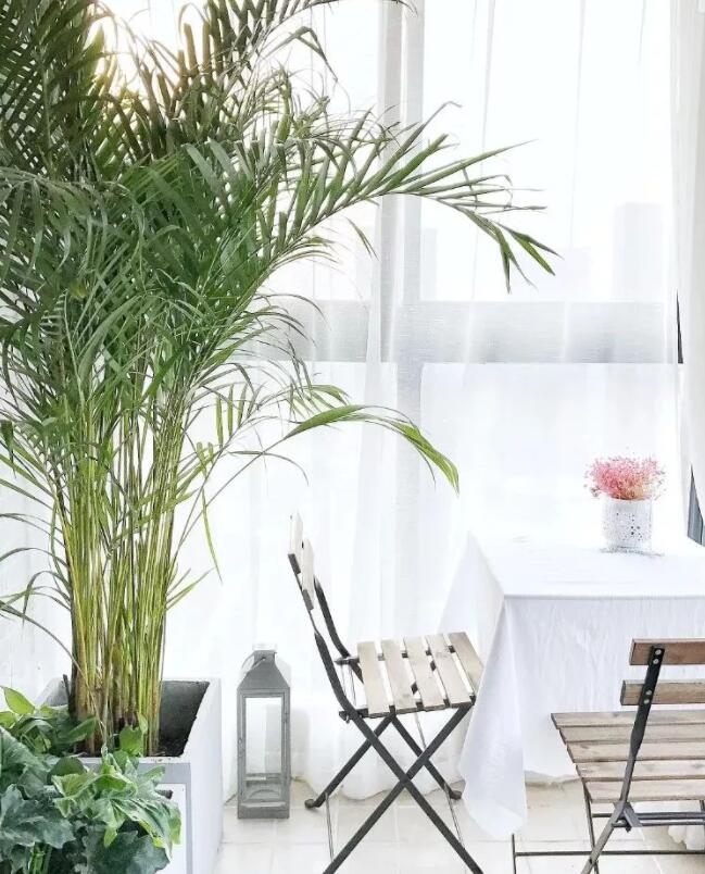 阳台该不该封？知情人告诉你，封了的好处你想象不到！