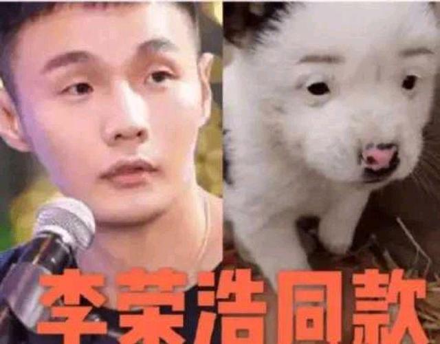 撞脸|“共用一张脸”的16对明星,最后3对如何做到“人畜不分”?