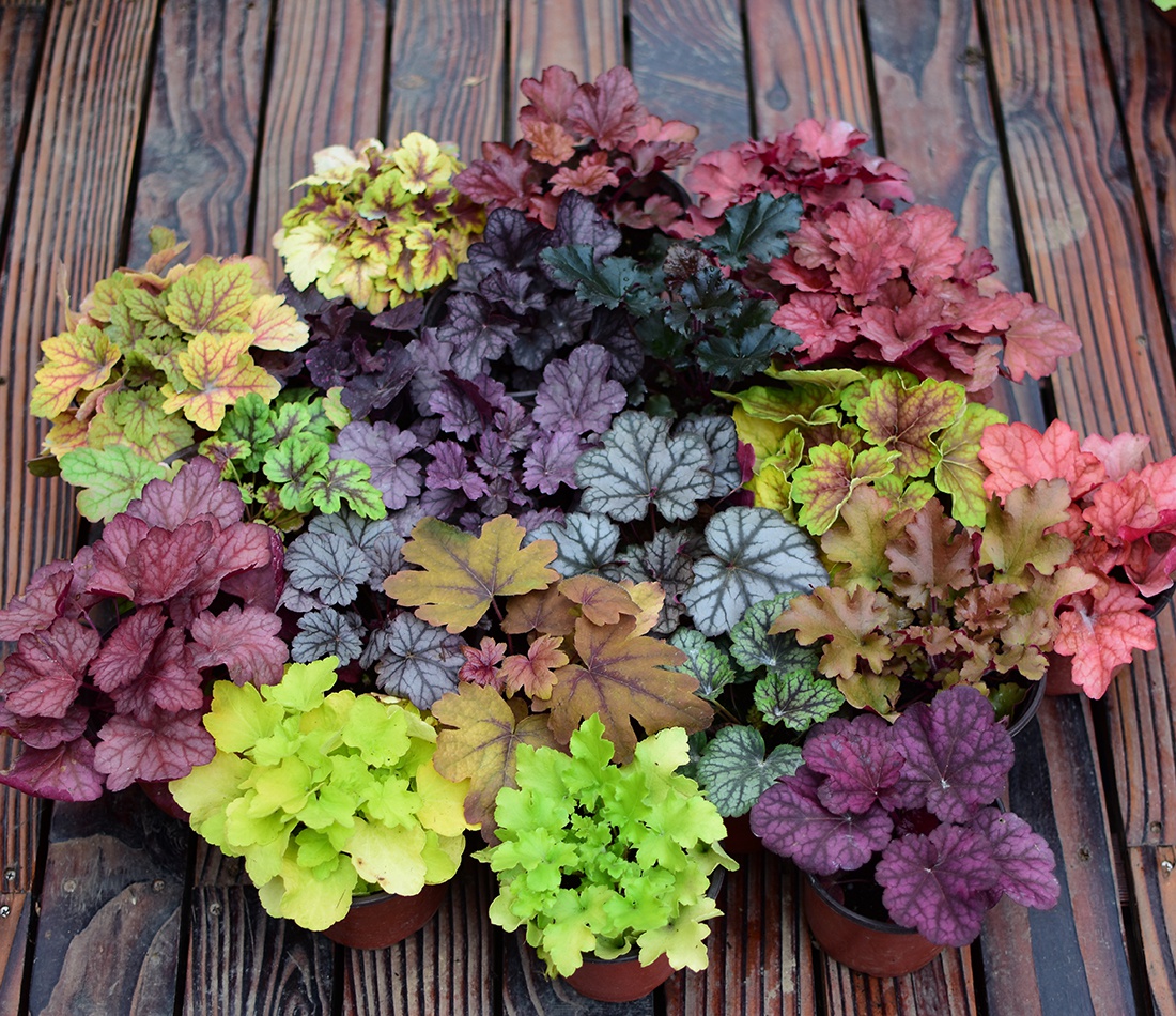 四楼80㎡荒废露台，DIY打造空中小花园，成了朋友们聚会的打卡地