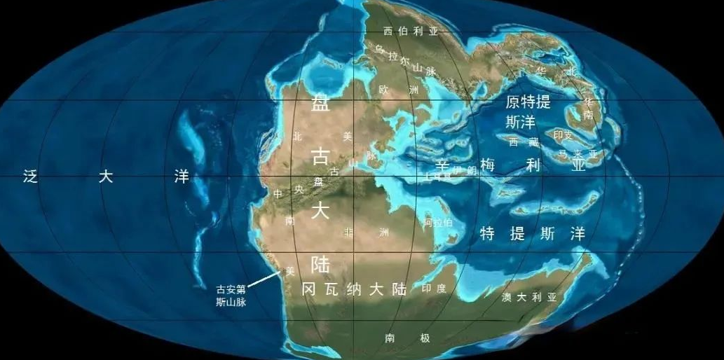 了解三叠纪时期的地球动植物