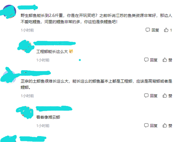 江苏省|江苏钓友钓上“巨型”鲫鱼，2斤多一条，网友：这是鲤鱼吧