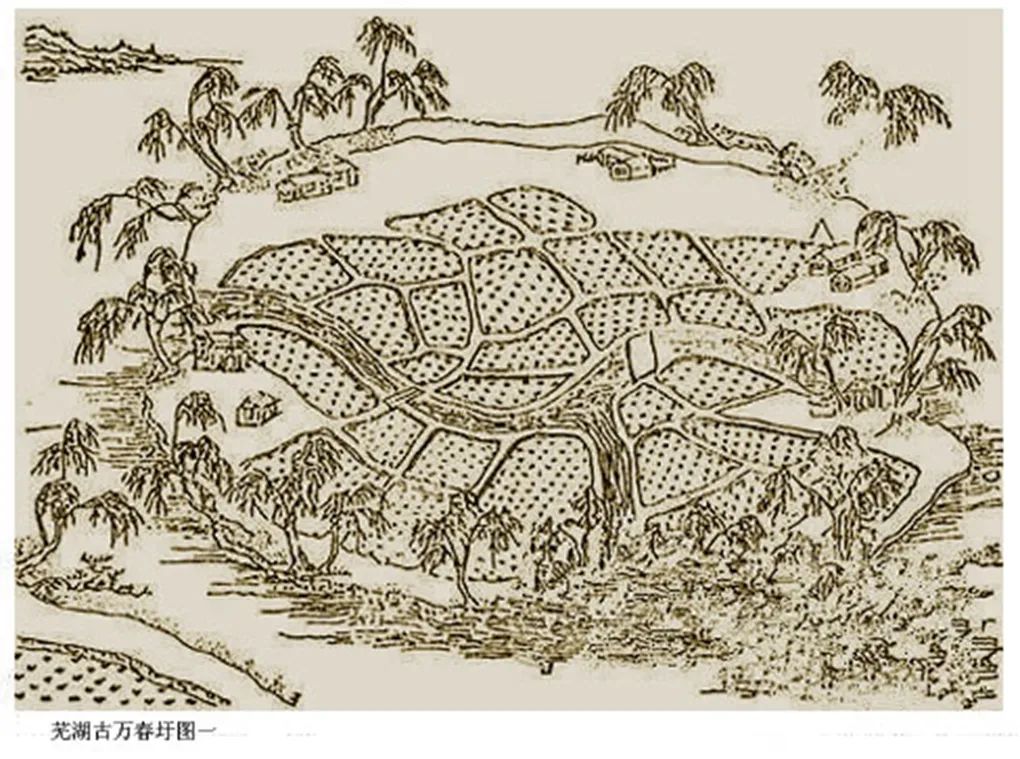 蓝鹰书画 画家杨林：“万顷春波”创作有感