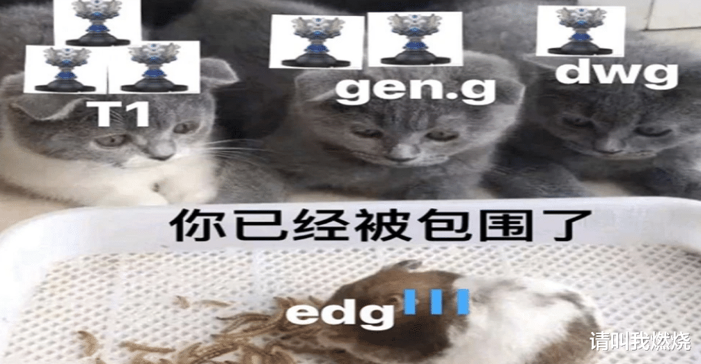 第五人格|“EDG夺冠也没厂长皮肤”，世界赛扎心语录排行榜，句句搞心态！