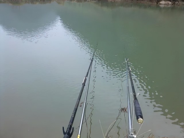 带货|鄱阳县究竟可不可以钓鱼:合法的钓鱼,当然可以!