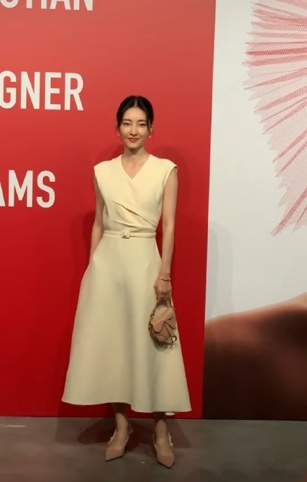 赵丽颖|Dior红毯女星云集：赵丽颖罕见穿豹纹，景甜穿抹胸裙蛮腰抢镜