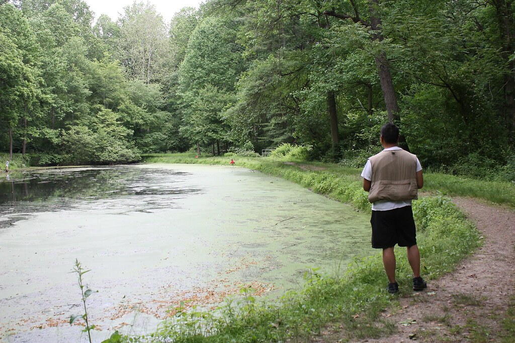 池塘|【钓鱼技巧】11个通用性钓点选择的规律