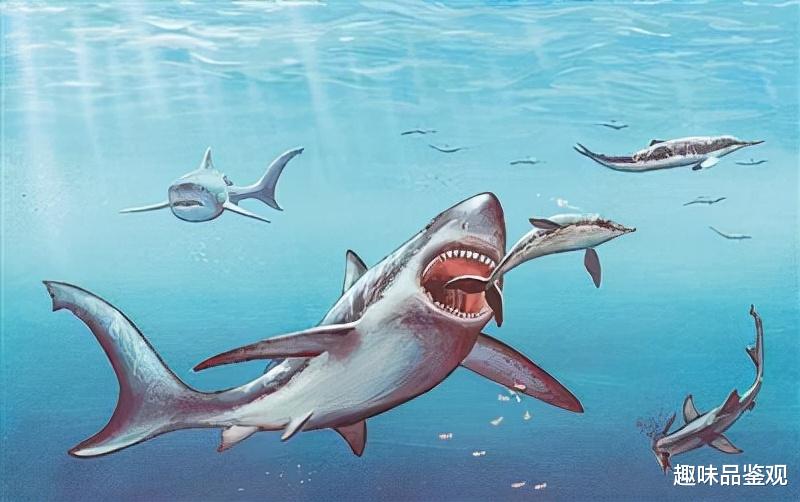 染色体 男性或在125000年后消失？科学家发现Y染色体正在变短、变小