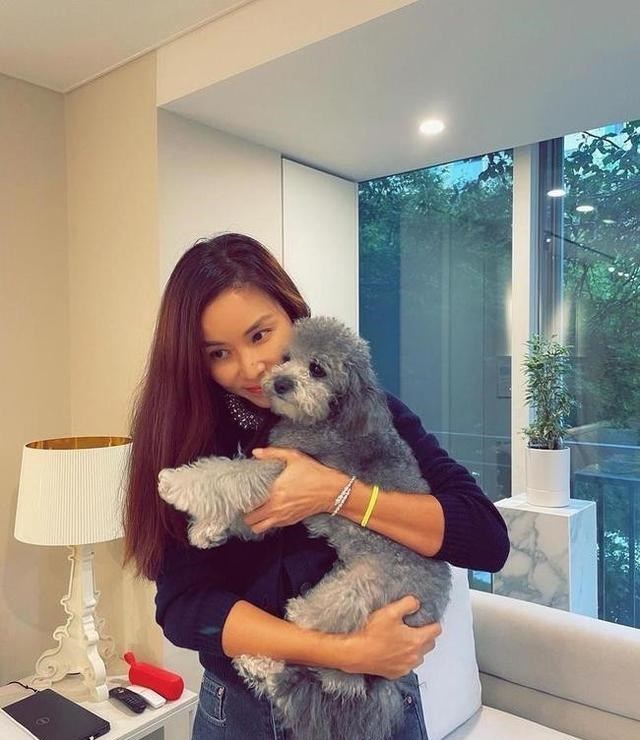 |搬入韩国超大豪宅，张东健太太360度晒幸福，163亿房子风景很好