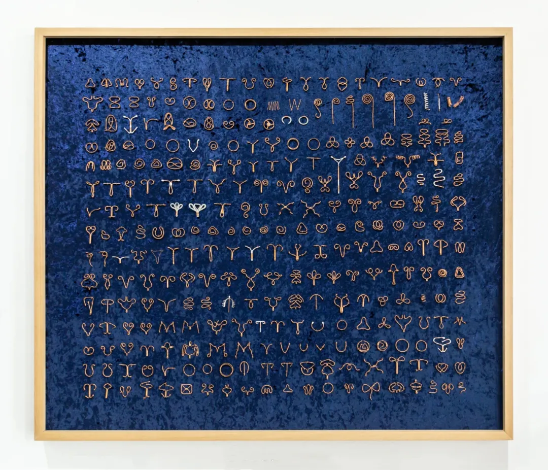 结扎|500万粉丝力捧的女网红，可惜了