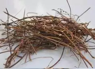 医养库|肝脏最怕5件事，每做一次，伤肝百倍！养肝茶、护肝动作别再错过