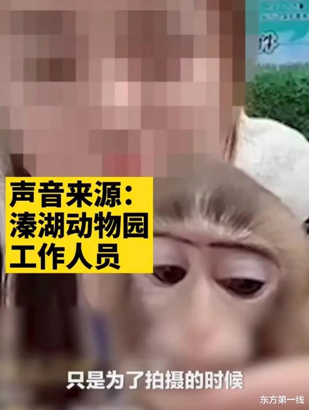 东方第一线 动物园饲养员直播给猴子化妆，推销美妆产品，饲养员：你看它多陶醉